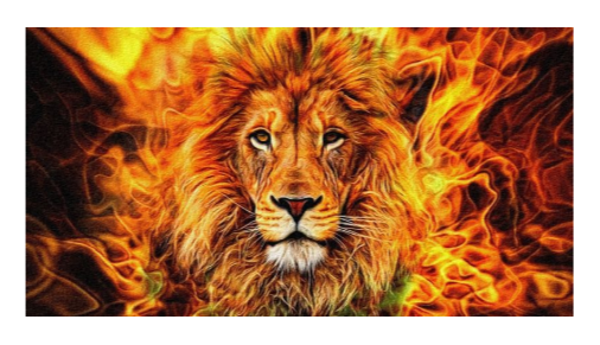 Diamond Painting Canvas 40x30cm - Painting 35x25cm Lion Flame