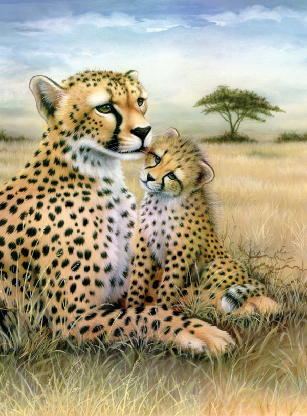 Schilderen op nummer leopard