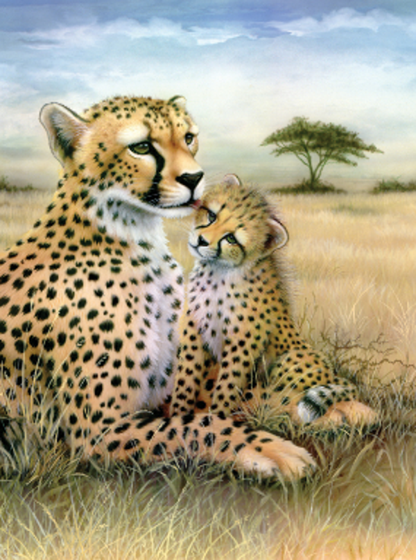 Schilderen op nummer Leopard