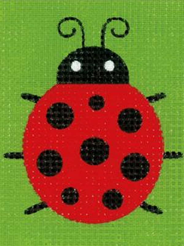 penelope lieveheersbeestje