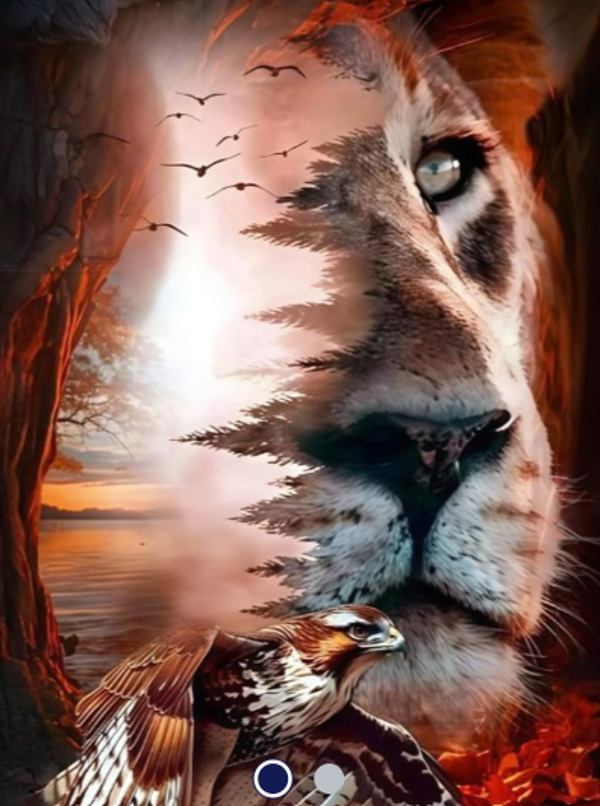 Diamond Painting -Canvas 50x40cm Lion