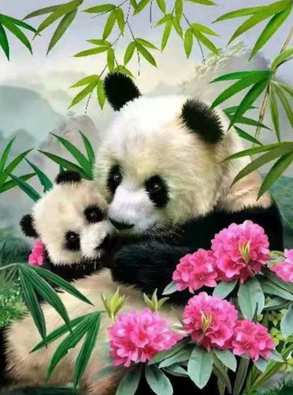 Little pandas