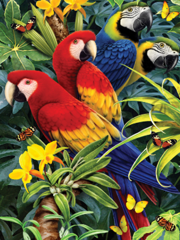 Schilderen op nummer Majestic macaws