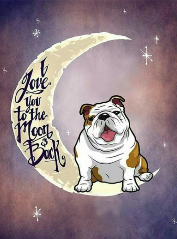 Moon dog