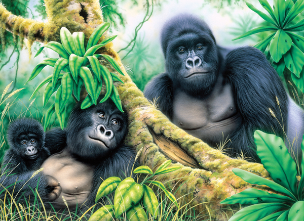 Schilderen op nummer Mountain gorillas