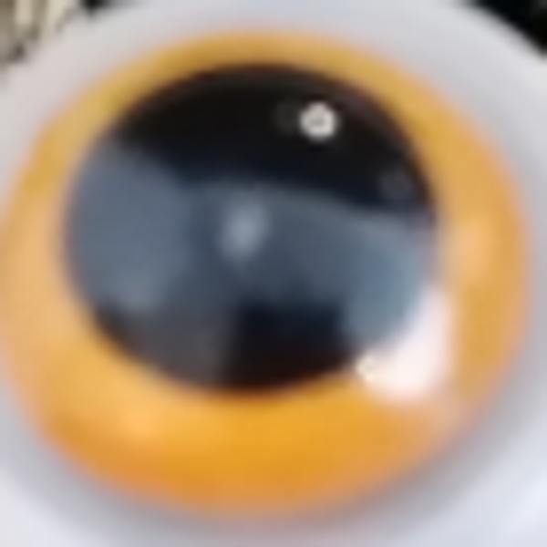 oogjes knuffel oranje