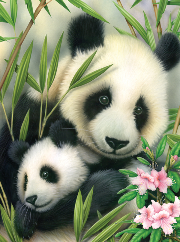 Schilderen op nummer Panda en baby