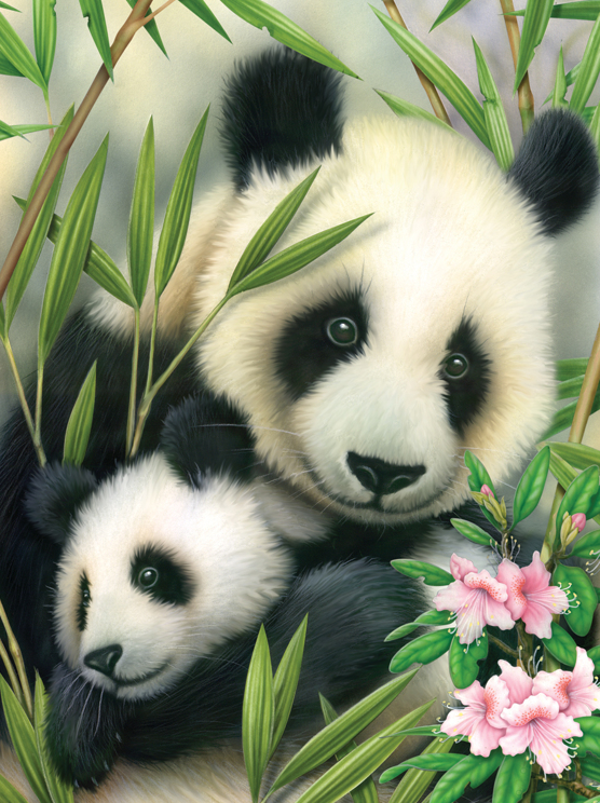 Schilderen op nummer Panda en baby