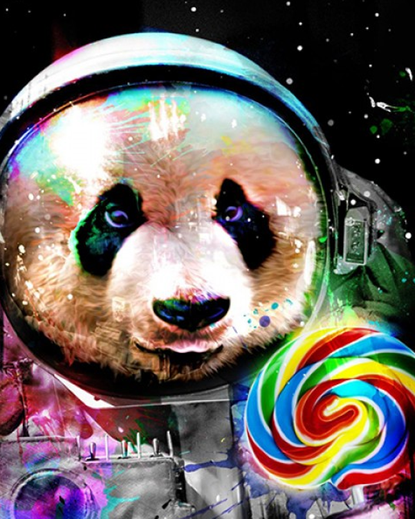 Space panda