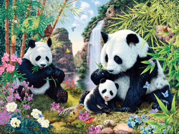 Pandas