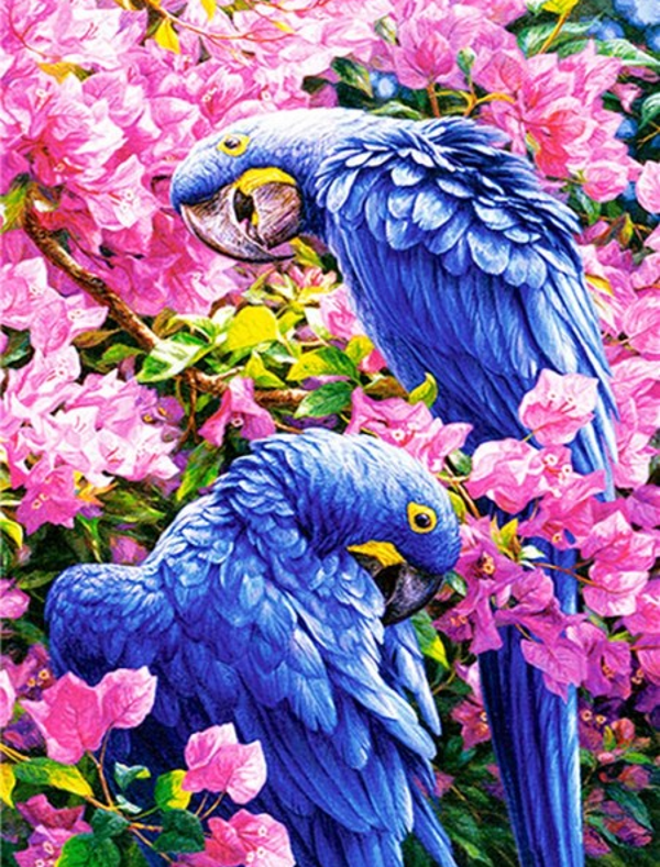 Parrots