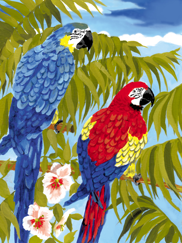Schilderen op nummer parrots