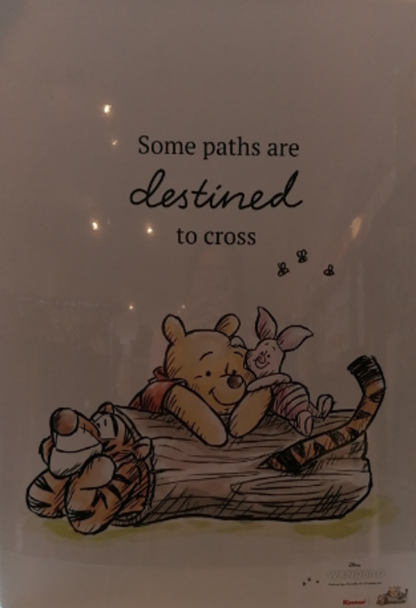 fotokarton some paths