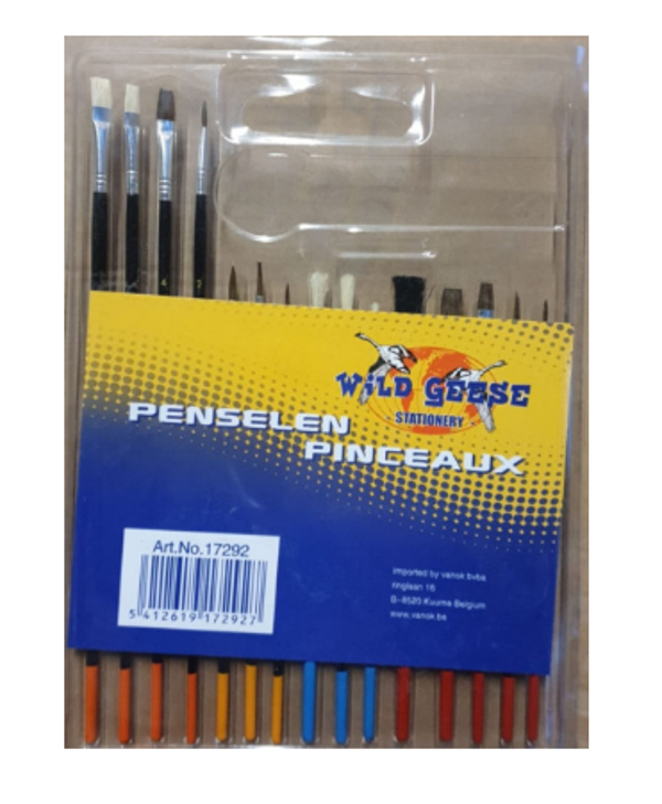 Penselenset 15st