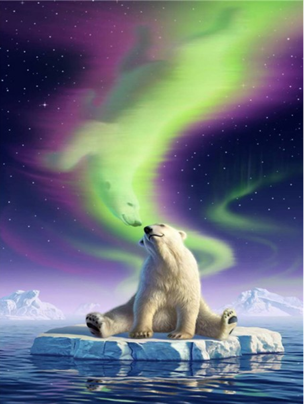 Polar bear