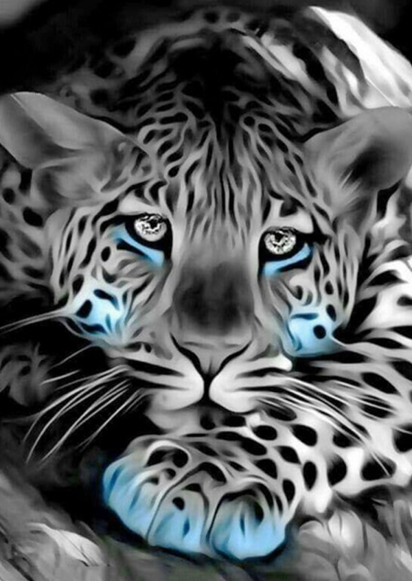 Sad leopard