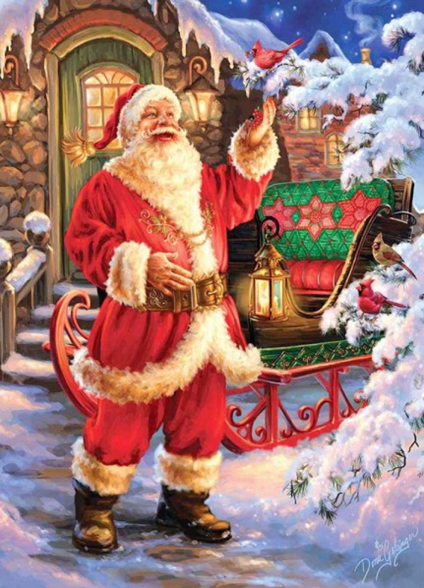 Santa met vogel