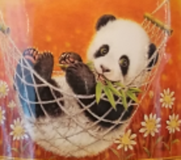 Schattige panda