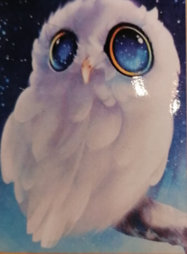Schattige uil
