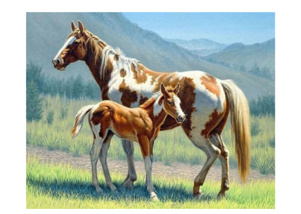 Diamond Painting -Canvas 30x20cm - Painting 25x15cm Horses