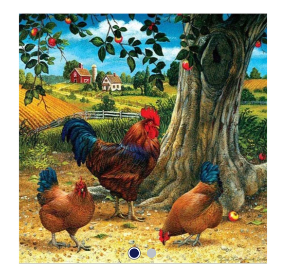 Diamond Painting Canvas 40x30cm - Painting 35x25cm Chickens