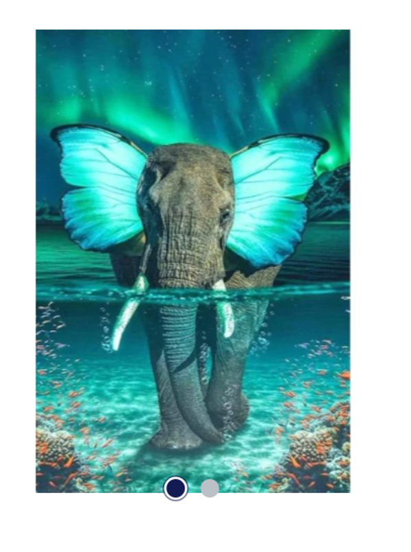 Diamond Painting Canvas 40x30cm - Painting 35x25cm Elephant