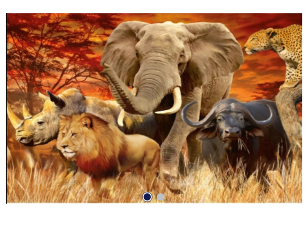 Diamond Painting -Canvas 50x40cm - Painting 45x35cm Animals