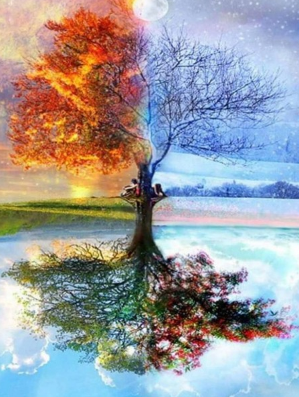 Seasons