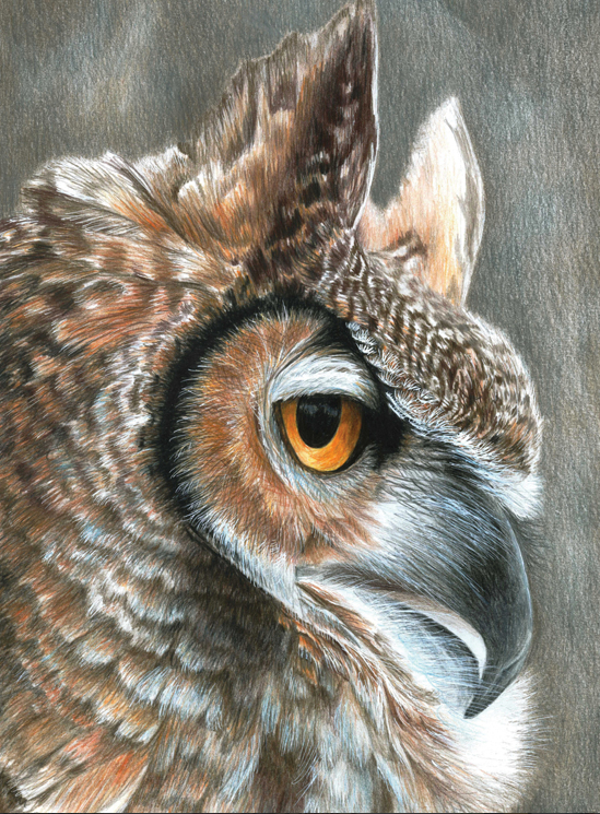 Kleuren op nummer sepia uil