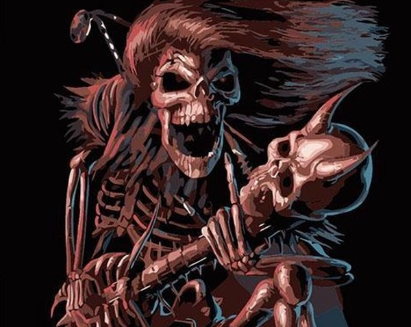 Schilderen op nummer skelet 40cmx50cm