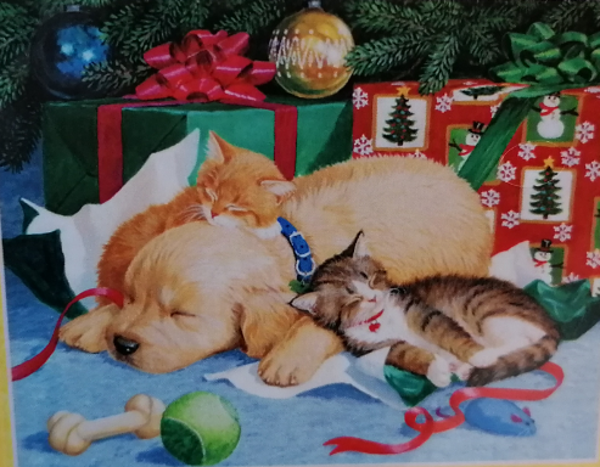 Slapende pup/kittens