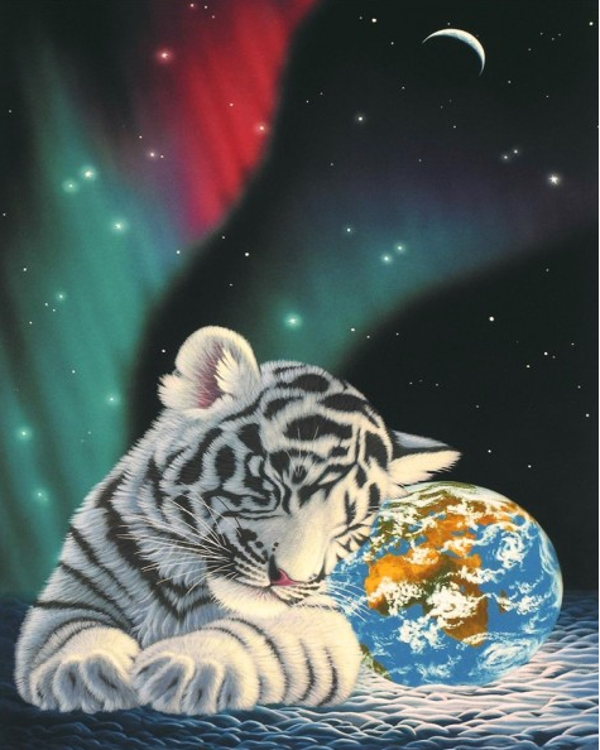 space tiger