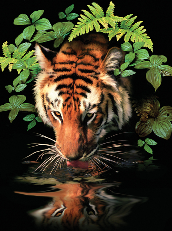 Schilderen op nummer Thirsty tiger