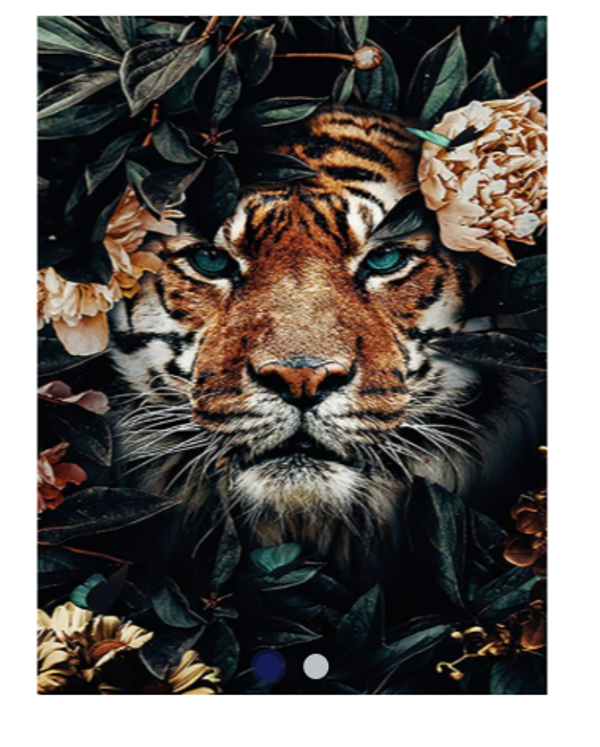 Diamond Painting Canvas 40x30cm - Painting 35x25cm Tiger
