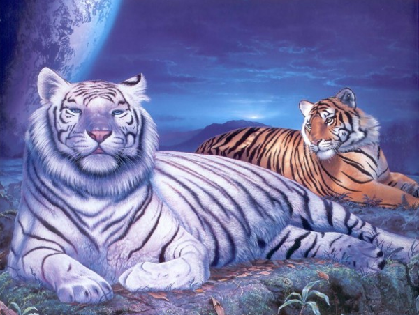 Tigers