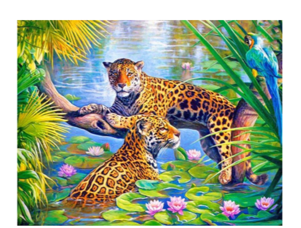 Diamond Painting -Canvas 50x40cm