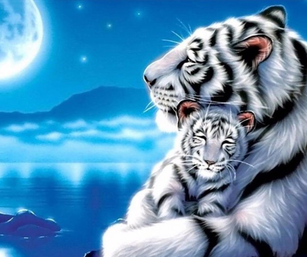 Tiger with cub