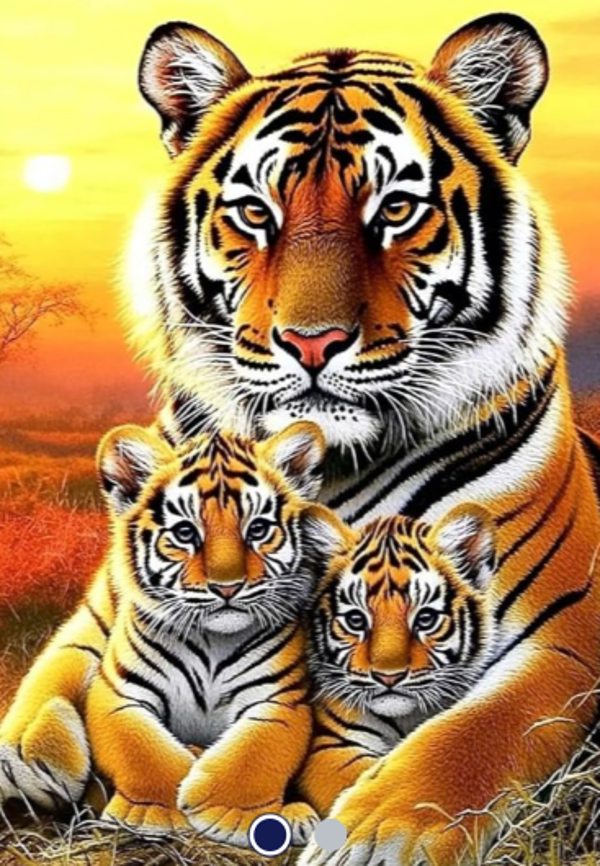 Diamond Painting -Canvas 30x20cm tijger