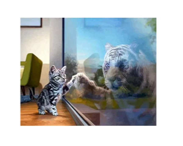 Diamond Painting -Canvas 50x40cm