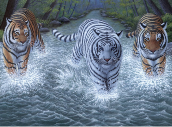 Schilderen op nummer tijgers