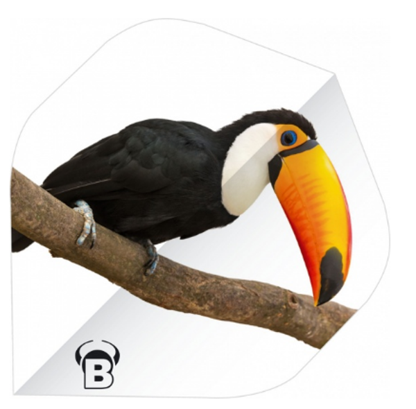 Bull's flight toekan