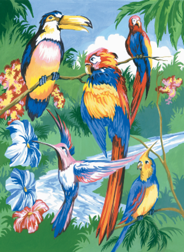 Schilderen op nummer Tropical birds