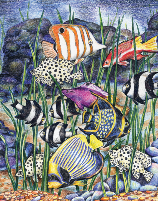 Kleuren op nummer Tropical fish