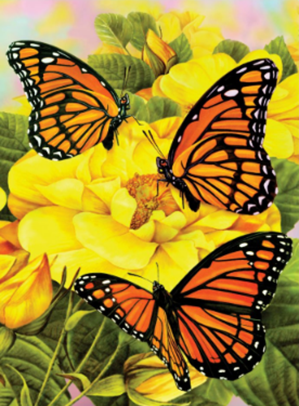 Schilderen op nummer vlinders