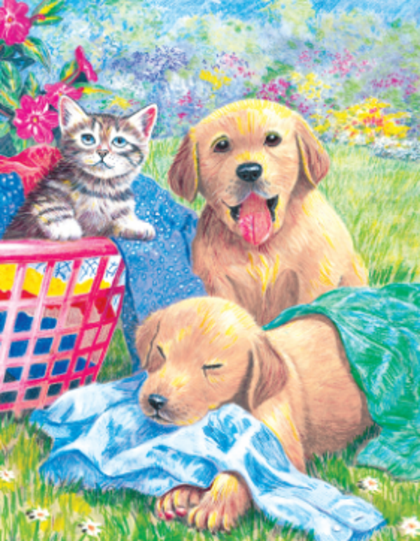 Kleuren op nummer Wash day fun