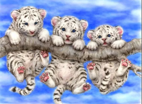 Diamond painting welpjes in tak 40cm x 50cm