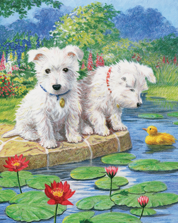Kleuren op nummer Westies