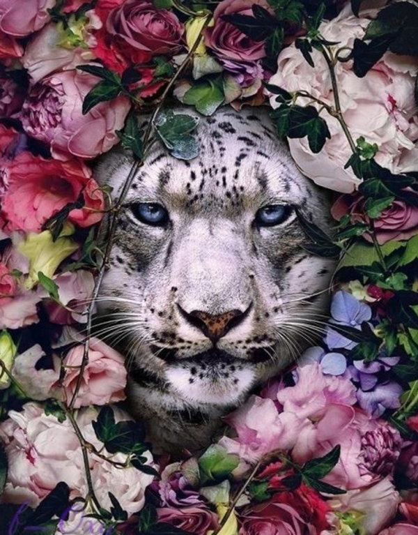 white panter