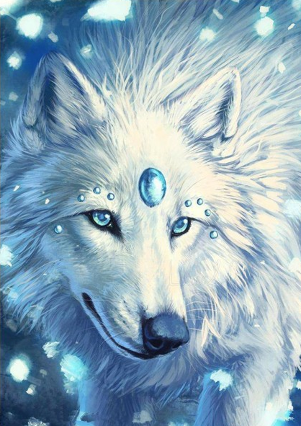 White wolve