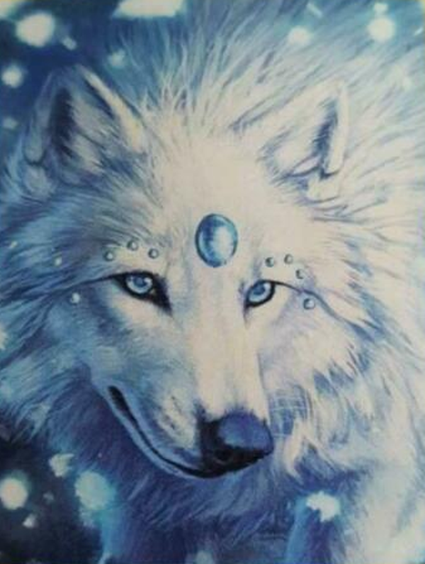 Witte wolf